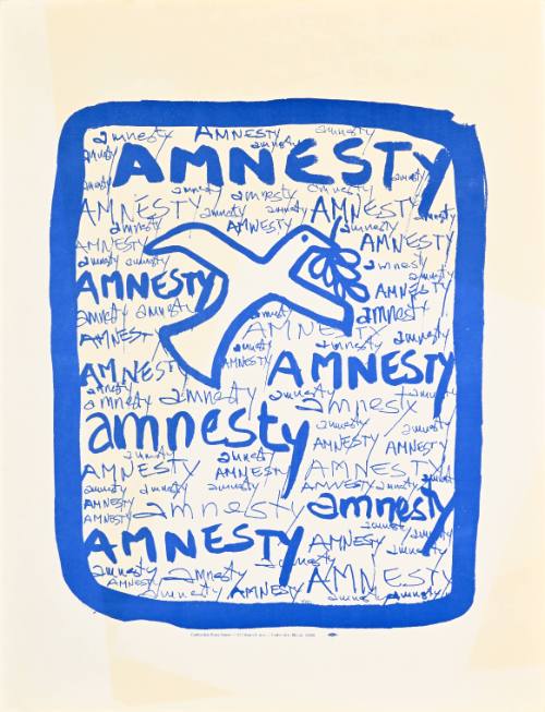 Amnesty