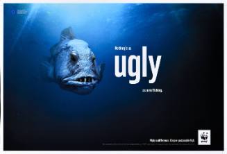 Nothing as Ugly as Overfishing