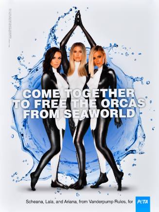 PETA/Come Together to Free the Orcas From SeaWorld