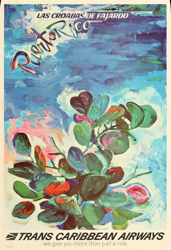 A poster of a green and red plant on a watercolor blue background