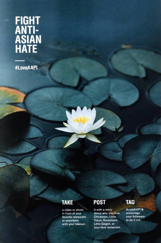 A poster of a waterlily surrounded by white text