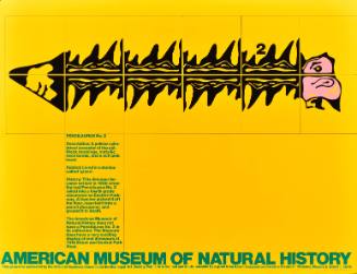 American Museum of Natural History/Pencilaurus No. 2