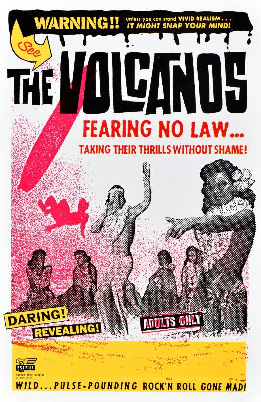 A poster of Hawaiian women in hula skirts