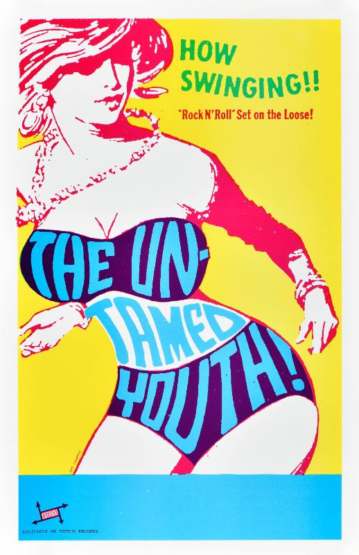 A poster of a busty woman with text printed over her chest and torso