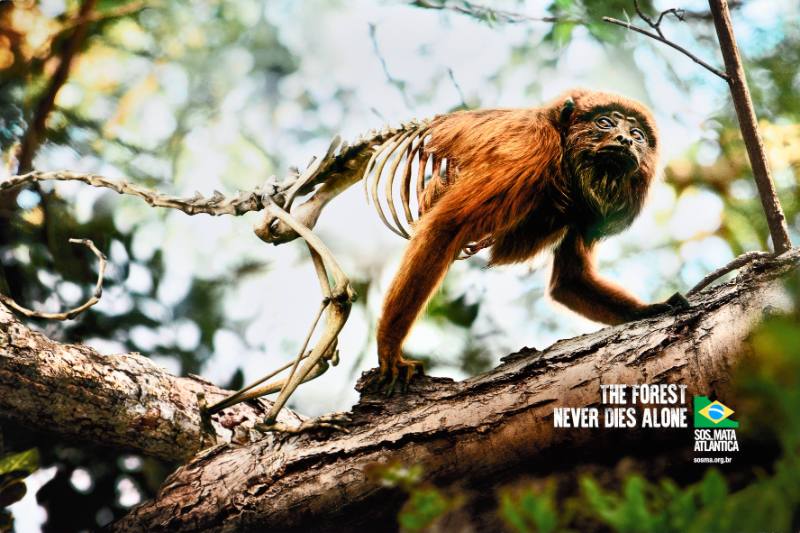 A poster of a monkey in a forest turning into a skeleton