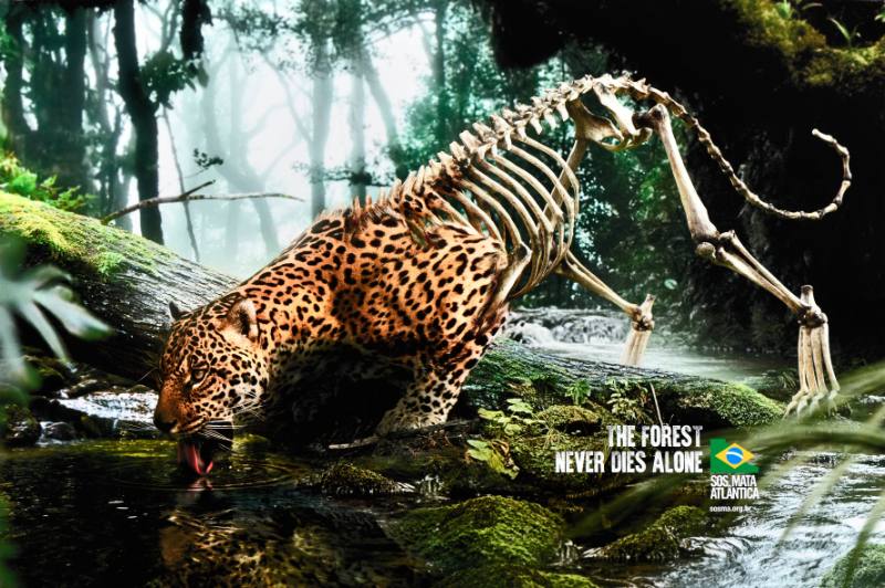 A poster of a jaguar in a forest turning into a skeleton
