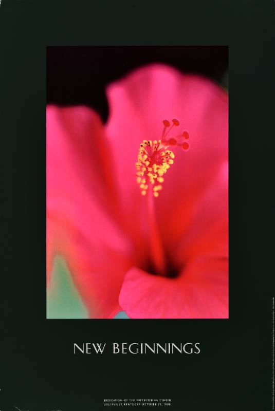 A poster of a red flower on a black background