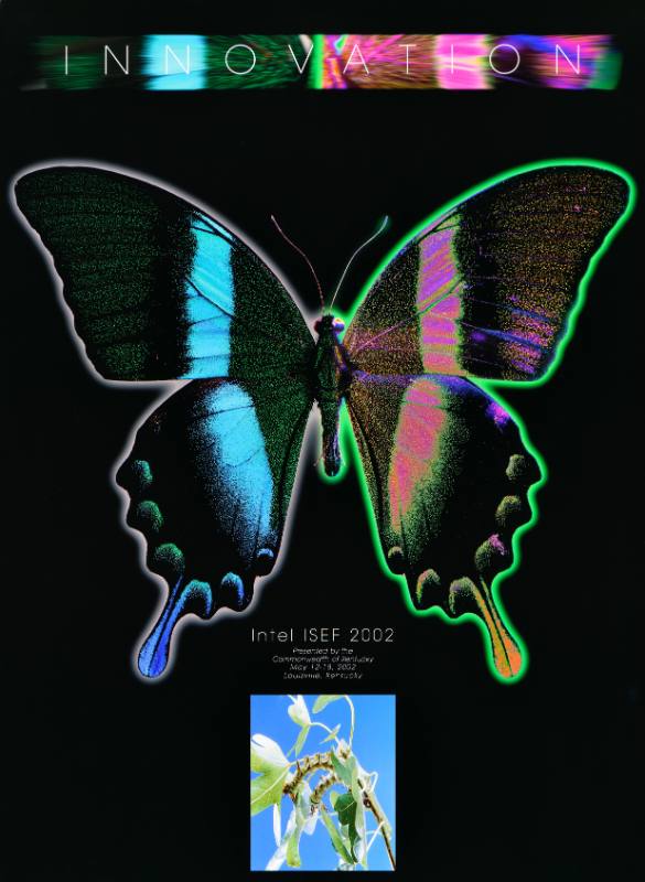 A poster of a neon butterfly on a black background