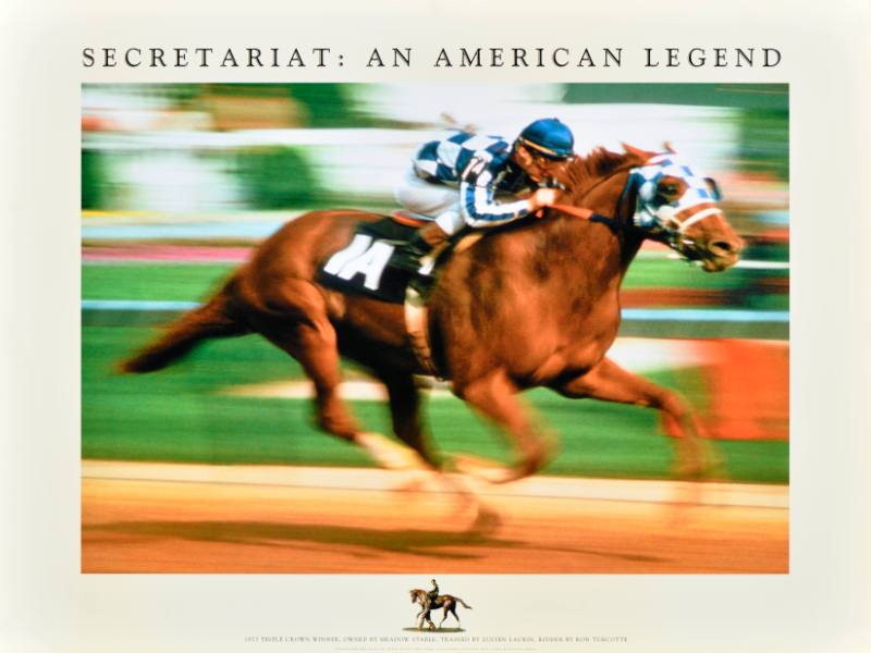 A poster of a jockey racing on a brown horse