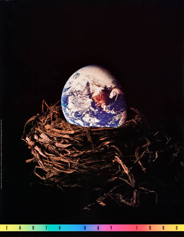 A poster of the earth in a bird's nest
