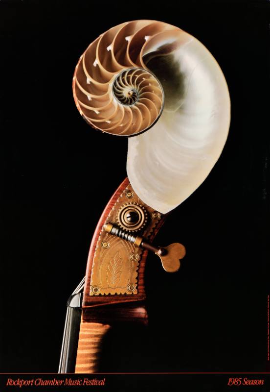 A poster of a cello made out of a swirling seashell
