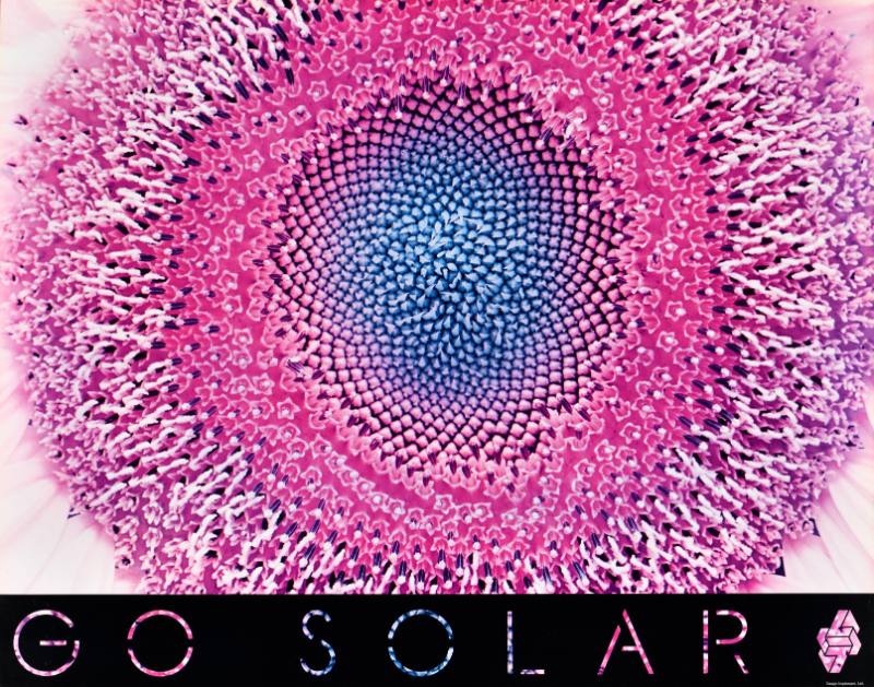 A poster of the inside of a neon pink flower