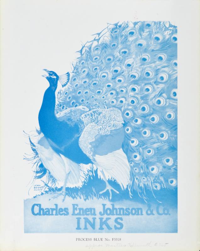 A poster of a peacock printed in blue