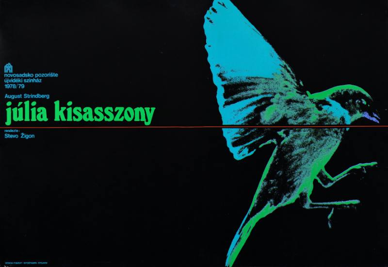 A poster of a colorful bird on a black background