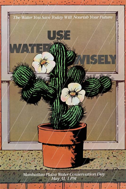 A poster of a cactus in front of a window