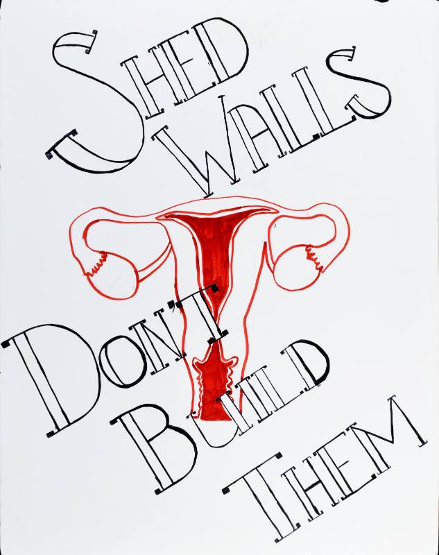 A poster of a drawing of a uterus on a white background