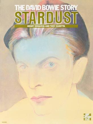 Stardust/The David Bowie Story