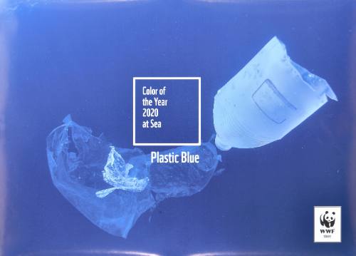 Color of the Year 2020 at Sea/Plastic Blue