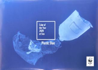 Color of the Year 2020 at Sea/Plastic Blue