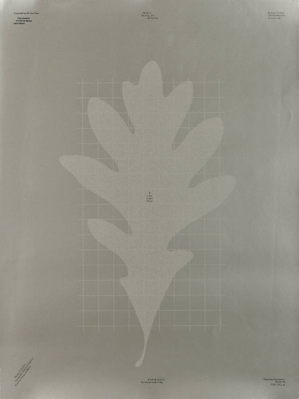 A poster of a see through white silhouette of an oak leaf overlaying a grid with thin white lines.