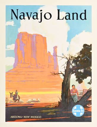 Navajo Land